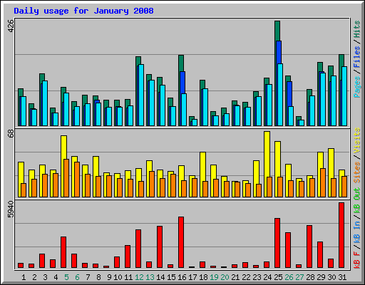 Daily usage for January 2008