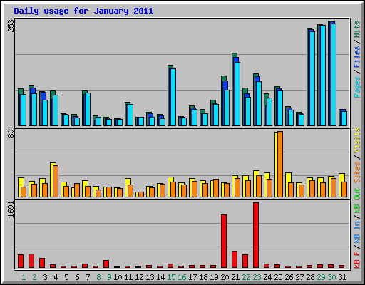 Daily usage for January 2011