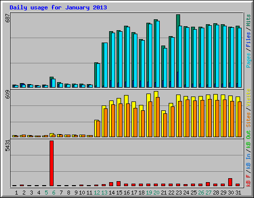 Daily usage for January 2013