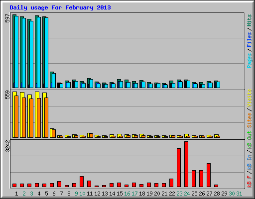 Daily usage for February 2013