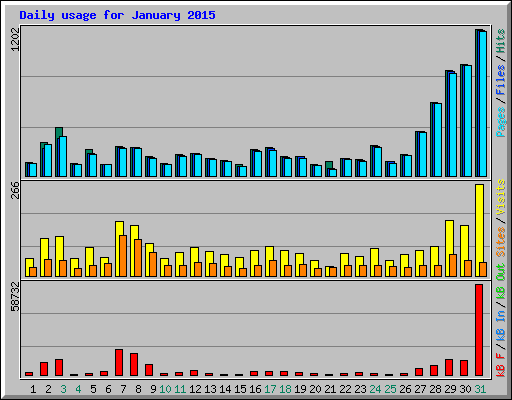 Daily usage for January 2015