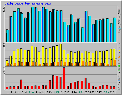 Daily usage for January 2017