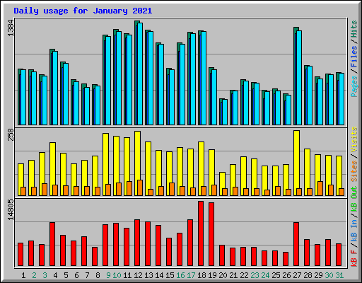 Daily usage for January 2021