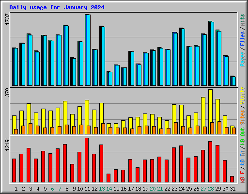 Daily usage for January 2024