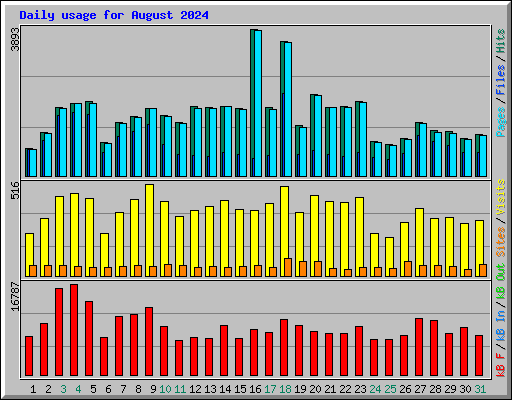 Daily usage for August 2024