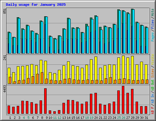 Daily usage for January 2025