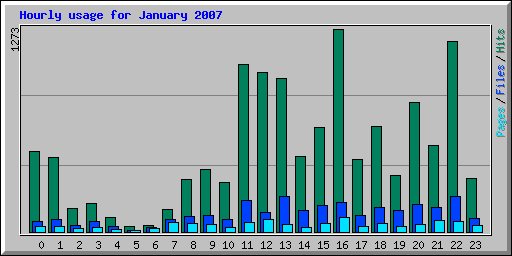 Hourly usage for January 2007