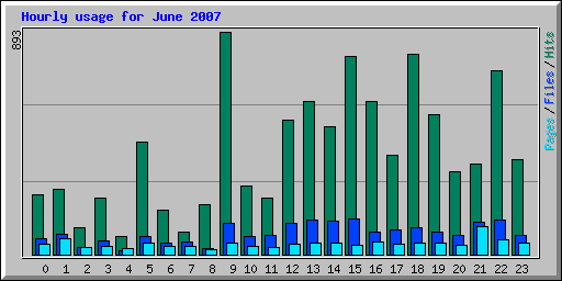 Hourly usage for June 2007