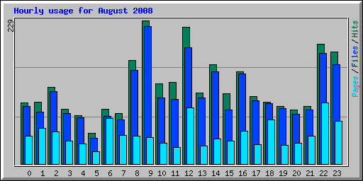Hourly usage for August 2008