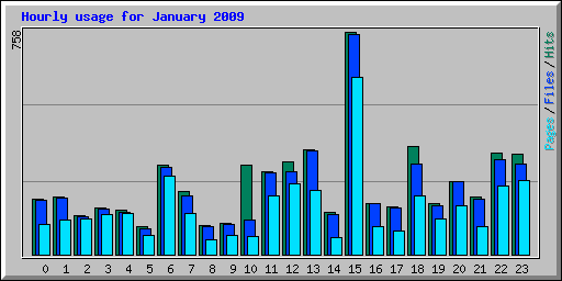 Hourly usage for January 2009