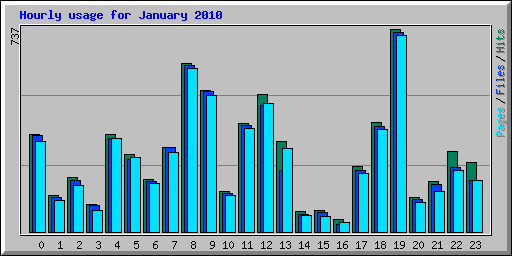 Hourly usage for January 2010