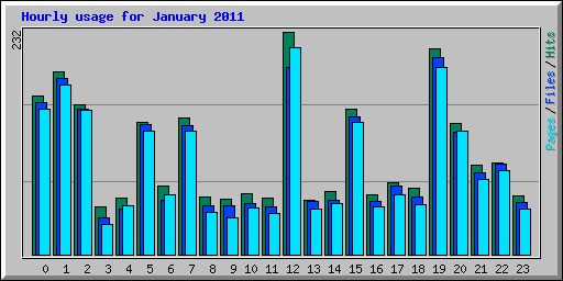 Hourly usage for January 2011