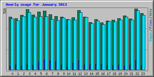 Hourly usage for January 2013