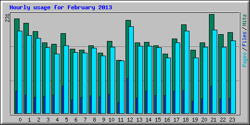 Hourly usage for February 2013