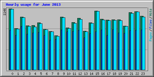 Hourly usage for June 2013