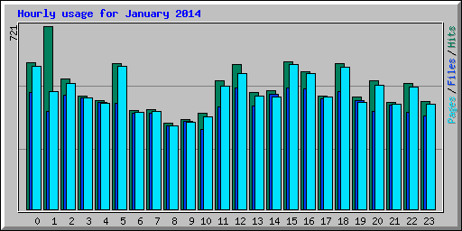 Hourly usage for January 2014