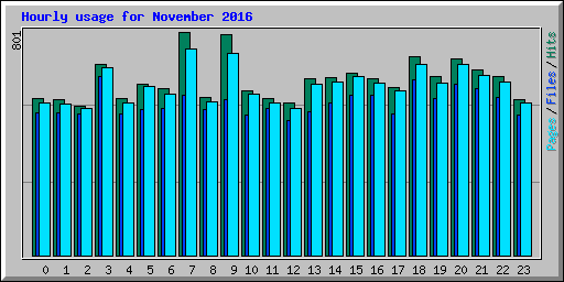 Hourly usage for November 2016