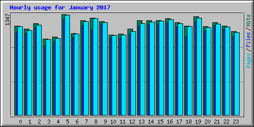 Hourly usage for January 2017