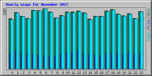 Hourly usage for November 2017