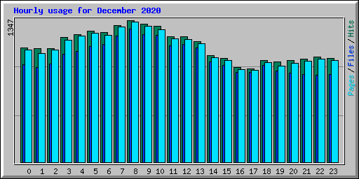 Hourly usage for December 2020