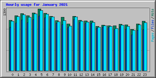 Hourly usage for January 2021