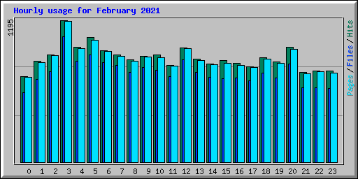 Hourly usage for February 2021