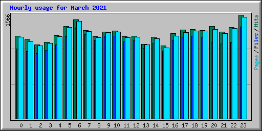 Hourly usage for March 2021