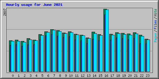 Hourly usage for June 2021