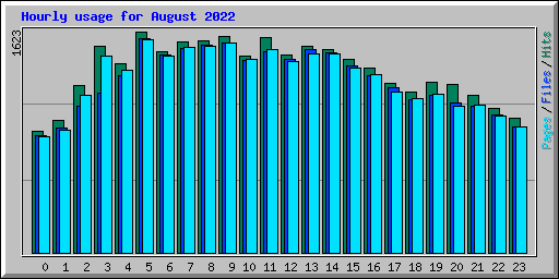 Hourly usage for August 2022