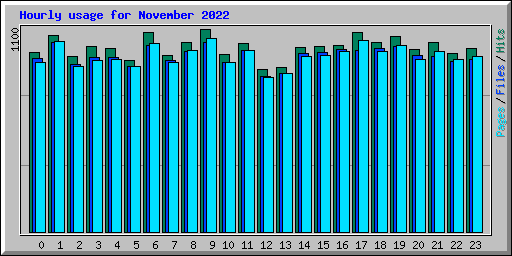 Hourly usage for November 2022