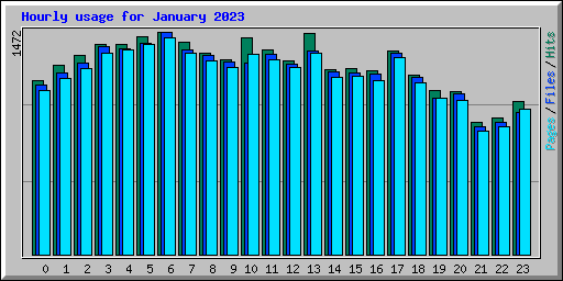 Hourly usage for January 2023
