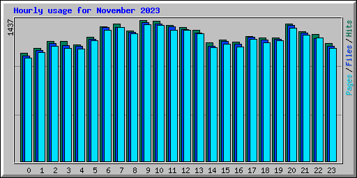 Hourly usage for November 2023