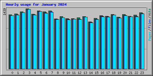 Hourly usage for January 2024