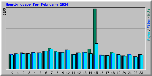 Hourly usage for February 2024