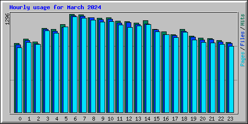 Hourly usage for March 2024