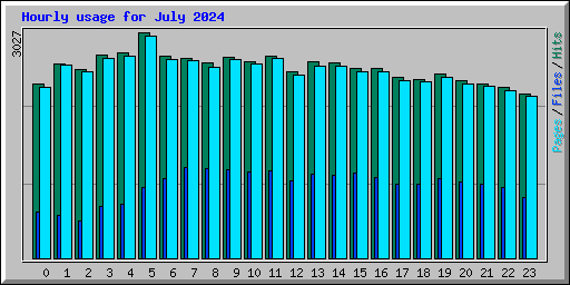 Hourly usage for July 2024