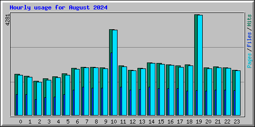Hourly usage for August 2024