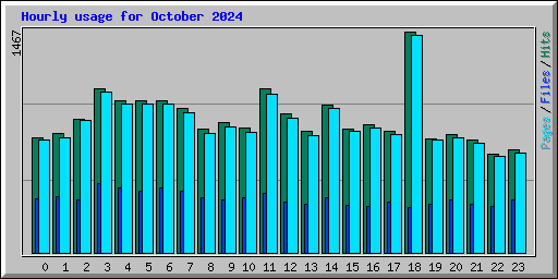 Hourly usage for October 2024