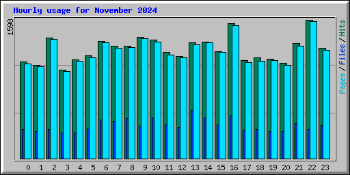 Hourly usage for November 2024