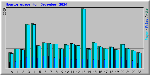 Hourly usage for December 2024