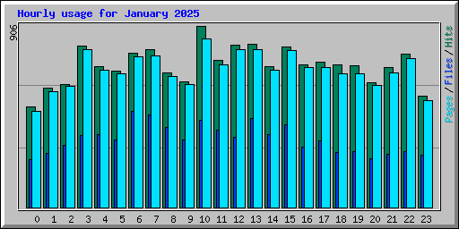 Hourly usage for January 2025