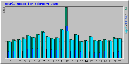 Hourly usage for February 2025
