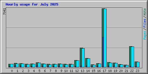 Hourly usage for July 2025