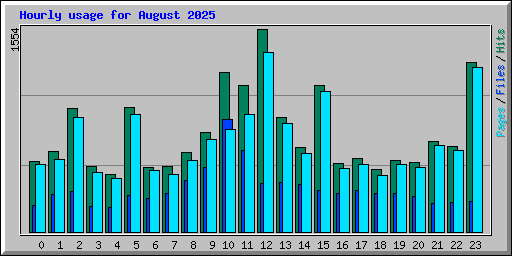 Hourly usage for August 2025
