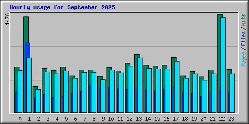 Hourly usage for September 2025