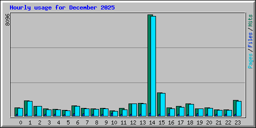Hourly usage for December 2025