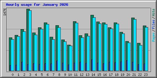 Hourly usage for January 2026