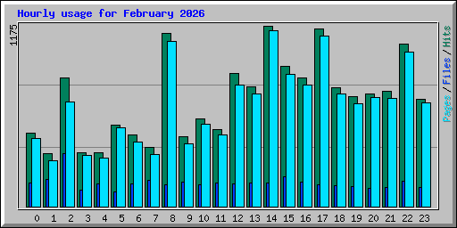 Hourly usage for February 2026